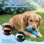 Nivofu Dog Chew Toy, Indestructible Rubber Dog Toothbrush Chew Toys for Aggressive Chewers, Tough Teeth Cleaning Stick for Small Medium and Large Dogs - Image 6