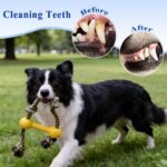 ASOCEA Interactive Dog Rope Toys Tug of War, Tough Toys for Boredom Cotton Pull Rope Toy for Small Medium Dog Chew Toys Teeth Cleaning - Image 5