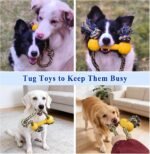 ASOCEA Interactive Dog Rope Toys Tug of War, Tough Toys for Boredom Cotton Pull Rope Toy for Small Medium Dog Chew Toys Teeth Cleaning - Image 7