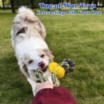 ASOCEA Interactive Dog Rope Toys Tug of War, Tough Toys for Boredom Cotton Pull Rope Toy for Small Medium Dog Chew Toys Teeth Cleaning - Image 8
