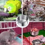 Bird Bowl Parrot Feeder,4 Pcs Stainless Steel Feeding Dish Cups,Detachable Stainless Steel Bird Food Bowls,for Chinchilla,Conure Budgies Parakeet,Small Animal - Image 5