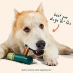 WOOF BullySafe - Bully Stick Holder - Durable Dog Chew Holder for Safe, Long-Lasting Play - Easy to Clean - No More Swallowed Ends - Best for Dogs 10+ lbs - Image 7