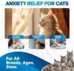 Cat Anxiety Relief 90 Day Supply - Faster Absorption Than Cat Calming Treats - Cat Calming Products for All Ages - Liquid Calming Cat Treats for Sleep Aid - 8 Ingredient Blend + Cat Melatonin - Image 3