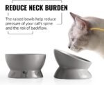 SWEEJAR Tilted Raised Cat Food and Water Bowl Set, Stress Free Elevated Cat Food Bowls, Protect Cat's Spine, Ceramic Pet Bowl Collection for Cats and Small Dogs, Set of 2 (Gray) - Image 4
