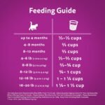 Whiskas Kitten Dry Cat Food With Real Chicken, 1.5 kg Bag - Image 7