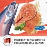 Beyond Simply Natural Dry Cat Food, Salmon & Whole Brown Rice - 2.72 kg Bag - Image 5