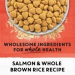Beyond Simply Natural Dry Cat Food, Salmon & Whole Brown Rice - 2.72 kg Bag - Image 10