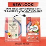 Beyond Simply Natural Dry Cat Food, Salmon & Whole Brown Rice - 2.72 kg Bag - Image 11