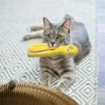 Andiker Catnip Toys for Cats, 10.63 in Octopus Plush Cat Toy with Catnip Crinkle Paper Interactive Cat Toys for Indoor Cats (Blue) - Image 5