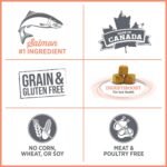 Nutrience Care Sensitive Skin & Stomach Hypoallergenic Adult Dog Food, 10 kg (22 lb), Salmon & Pumpkin, Grain & Gluten Free, Fresh Canadian Protein, Dry Dog Food, Nourriture Pour Chien - Image 7