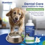 bluestem Dental Care Water Additive for Dogs – No Brushing Daily Teeth Cleaner – Pet Oral Rinse to Freshen Breath & Help Reduce Plaque – Flavorful & Easy Oral Hygiene (500 ml, Vanilla Mint) - Image 3