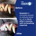 bluestem Dental Care Water Additive for Dogs – No Brushing Daily Teeth Cleaner – Pet Oral Rinse to Freshen Breath & Help Reduce Plaque – Flavorful & Easy Oral Hygiene (500 ml, Vanilla Mint) - Image 4