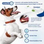 bluestem Dental Care Water Additive for Dogs – No Brushing Daily Teeth Cleaner – Pet Oral Rinse to Freshen Breath & Help Reduce Plaque – Flavorful & Easy Oral Hygiene (500 ml, Vanilla Mint) - Image 5