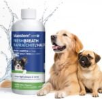 bluestem Dental Care Water Additive for Dogs – No Brushing Daily Teeth Cleaner – Pet Oral Rinse to Freshen Breath & Help Reduce Plaque – Flavorful & Easy Oral Hygiene (500 ml, Vanilla Mint) - Image 9