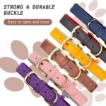 Padded Leather Dog Collar, Soft Breathable Adjustable Waterproof Dog Collar Leather with Durable Metal Buckle for Small Medium and Large Dogs, M, Brown - Image 3