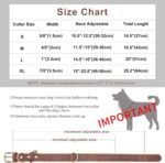 Padded Leather Dog Collar, Soft Breathable Adjustable Waterproof Dog Collar Leather with Durable Metal Buckle for Small Medium and Large Dogs, M, Brown - Image 4