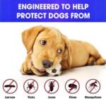 UF-PL 8 Month Dog Collar - Affordable Luxury for All Pet Breeds and Sizes-Adjustable,Safe,Durable & Effective for Dog 25 Inches-Long Lasting,Flexible,Portable & Waterproof Collar for Dogs - Image 9