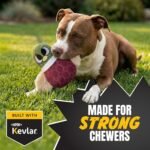 Bite Force -Durable & Strong Dog Toy Beak with Squeaker, Kevlar-Reinforced for Aggressive Chewers for Small Medium Large Dogs - Dark reg. - Image 3