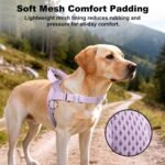 No Pull Dog Harness with Handle, Adjustable Soft Mesh Padded Reflective Walking Harness with Front Clip for Small Medium Large Dogs – Quick Fit No Escape for Training and Hiking (Purple, L) - Image 5