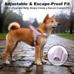 No Pull Dog Harness with Handle, Adjustable Soft Mesh Padded Reflective Walking Harness with Front Clip for Small Medium Large Dogs – Quick Fit No Escape for Training and Hiking (Purple, L) - Image 6