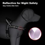 No Pull Dog Harness with Handle, Adjustable Soft Mesh Padded Reflective Walking Harness with Front Clip for Small Medium Large Dogs – Quick Fit No Escape for Training and Hiking (Purple, L) - Image 8