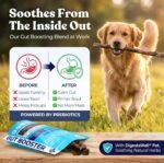 Healthybud Turkey Gut-Friendly Soft Chews for Dogs – Grain-Free Digestive & Stool Support Treats – for Sensitive Stomachs – High-Value Training & Meal Topper – Made in Canada – 130 g (4.6 oz) - Image 3