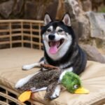 Best Pet Supplies 2-in-1 Fun Skin Stuffless Dog Squeak Toy, Medium, Wild Duck - Image 7