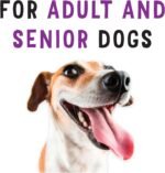 Beggin' Strips Dog Treats, Cheeseburger - 708 g Pouch (1 Pack) - Image 9