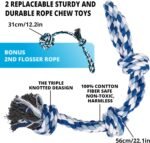 Spring Pole Rope Toys: Rope Pull & Tug of War with a Big Spring Pole Kit & 2 Strong 16ft Toys - Muscle Builder Interactive Toy for Pitbull Medium to Large Dog - Image 5