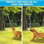 Spring Pole Rope Toys: Rope Pull & Tug of War with a Big Spring Pole Kit & 2 Strong 16ft Toys - Muscle Builder Interactive Toy for Pitbull Medium to Large Dog - Image 7