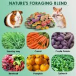 KATUMO Rabbit Chew Toys, 150g Timothy Grass Treats Small Animal Molar Toys for Guinea Pig Hamster Bunny Chinchilla Gerbil - Image 3