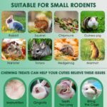 KATUMO Rabbit Chew Toys, 150g Timothy Grass Treats Small Animal Molar Toys for Guinea Pig Hamster Bunny Chinchilla Gerbil - Image 6