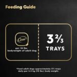 CESAR Home Delights Wet Dog Food - Beef Stew - 100g (24 Pack) - Image 9