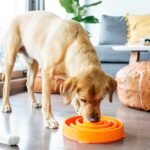 Outward Hound Fun Feeder Slo Bowl, Large Slow Feeder Dog Bowl, 4 Cups, Orange - Image 7