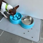 JACKO & CO - Double Slow Feeder - Food and Water Bowls for Pets - for Small and Medium Dogs, Puppies, Cats - Removable Stainless Steel Bowl - Non Slip - Anti Choke - Easy to Use (Blue) - Image 3