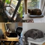 LESYPT Cat Bed 15" x 10" Non-Slip Pet Bed for Curled Sleep, Machine Washable Indoor Cat Mat for Crate Carrier Tree Windowsill, Size S - Image 3