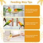 KATUMO 2PCS Parrot Food, Bird Crunch Sticks Cockatiel Treats, Parakeet Snacks Conure Food Sticks for Parakeet Cockatiel Canary Finch Lovebird Conure Lorikeet Parrots (6.9" L×3.2" W×1.2" Th) - Image 4