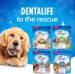 DentaLife Daily Oral Care Dog Treats for Large Breed Dogs - 920 g Pouch (1 Pack) - Image 8