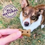 Old Mother Hubbard P-Nuttier ‘N Nanners Grain Free Oven Baked Mini Dog Treats, Banana & Peanut Butter, 16-Ounce Bag - Image 4