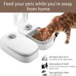 Automatic Pet Feeder,2 Meal Cat Feeder Set 48 Hour Timer,Travel Supply Feeder and Water Dispenser Portion Control Pet Feeding Station Dry and Wet Cat Food Dispenser for Small Medium Big Pets - Image 4