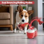 Interactive Dog Toys – Dog Balls for Small Dogs, Dog Toy for Boredom, Active Rolling Ball with Tail for Dogs, Rechargeable Moving Dog Ball for Puppies and Pet (Red) - Image 3