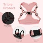 BELLA & PAL Dog Harness with Leash Set, Adjustable Step-in Puppy Harness for Extra-Small/Small Medium Dogs, No Pull Breathable Vest Reflective Harness with Leash D-Ring (Pink, XS (Chest: 13-16")) - Image 3