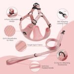 BELLA & PAL Dog Harness with Leash Set, Adjustable Step-in Puppy Harness for Extra-Small/Small Medium Dogs, No Pull Breathable Vest Reflective Harness with Leash D-Ring (Pink, XS (Chest: 13-16")) - Image 4