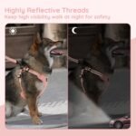 BELLA & PAL Dog Harness with Leash Set, Adjustable Step-in Puppy Harness for Extra-Small/Small Medium Dogs, No Pull Breathable Vest Reflective Harness with Leash D-Ring (Pink, XS (Chest: 13-16")) - Image 6