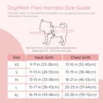 BELLA & PAL Dog Harness with Leash Set, Adjustable Step-in Puppy Harness for Extra-Small/Small Medium Dogs, No Pull Breathable Vest Reflective Harness with Leash D-Ring (Pink, XS (Chest: 13-16")) - Image 7