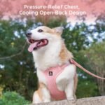 BELLA & PAL Dog Harness with Leash Set, Adjustable Step-in Puppy Harness for Extra-Small/Small Medium Dogs, No Pull Breathable Vest Reflective Harness with Leash D-Ring (Pink, XS (Chest: 13-16")) - Image 8