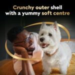 CESAR DOUBLE DELIGHTS Dog Treats, For Small Breed Adult Dogs, Filet Mignon Flavour, No Artificial Flavours, No Artificial Colours, Less Than 3 Calories Each, 150g Pouch - Image 4