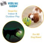 Wobble Wag Giggle 2 Pack: Glow and Original, Multi Color - Image 5