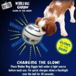 Wobble Wag Giggle 2 Pack: Glow and Original, Multi Color - Image 7