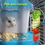 2PCS Rat Enrichment Foraging Toys, Stainless Steel Vegetable Skewer Foraging Hanging Feed Tool for Hamster Rodents Bird Parrots, Fancy Mice Cage Accessories Puzzle Toy Slow Feeder - Image 5